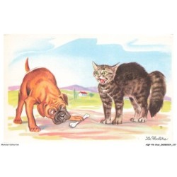 AQFP8-0571-CHAT - la colere