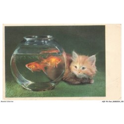 AQFP8-0560-CHAT - l'aquarium a poissons et le chat