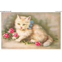 AQFP10-0661-CHAT - chaton et fleurs