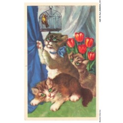 AQFP8-0567-CHAT - la cage d'oiseau
