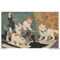 AQFP10-0682-CHAT - les regards - tonneau tombé