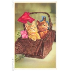 AQFP8-0580-CHAT - chatons dans un panier