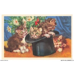 AQFP8-0564-CHAT - fleurs et chats dans le chapeau