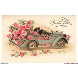AQFP10-0669-CHAT - chats en voiture - bonne fete