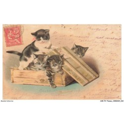 AOBP4-0236-ANIMAUX - Des chatons