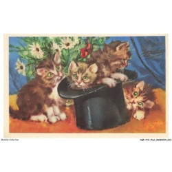 AQFP10-0666-CHAT - chatons dans un chapeau