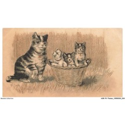 AOBP4-0237-ANIMAUX - Des chats CHATONS DANS PANIER