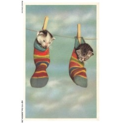 AQFP10-0677-CHAT - le linge a chats