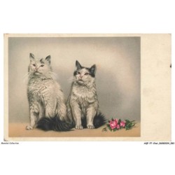 AQFP7-0481-CHAT - chats et fleurs roses
