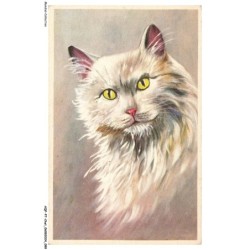 AQFP7-0484-CHAT - le regard
