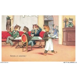 AQFP7-0496-CHAT - belotte et rebelotte - le jeu de carte