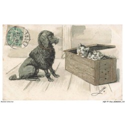 AQFP7-0499-CHAT - le chien et les chatons dans la caisse