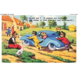 AQFP8-0519-CHAT - la poussée de la voiture