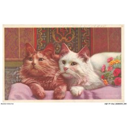 AQFP7-0489-CHAT - le regard des chats