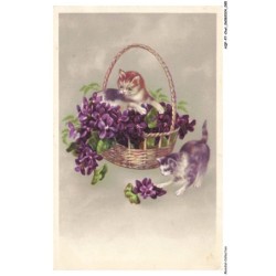 AQFP7-0482-CHAT - le panier de fleurs et les chats