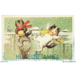 AQFP7-0492-CHAT - la glissade - heureuse année