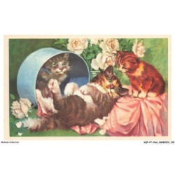 AQFP7-0494-CHAT - dans la marmite