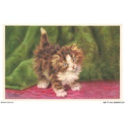AQFP7-0445-CHAT - le regard