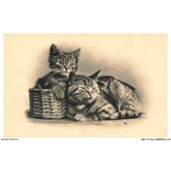 AQFP7-0504-CHAT - chats dans un panier