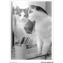 AHWP1-0015 - CHAT - miroir suis-je belle ? - g kunze - voller ernst