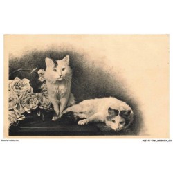 AQFP7-0444-CHAT - deux chats et panier de fleurs