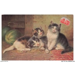 AQFP10-0689-CHAT - regard des chats