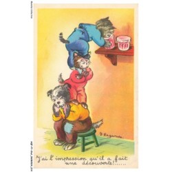 AQFP7-0446-CHAT - la decouverte - les boites