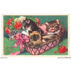 AQFP10-0686-CHAT - chats dans un panier