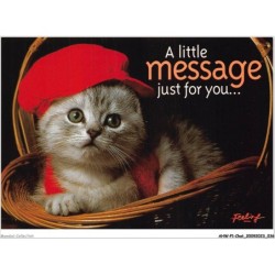 AHWP1-0019 - CHAT - a little message just for you - photo stockmarket - zefa