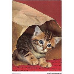 AHWP1-0048 - CHAT
