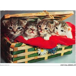AHWP1-0038 - CHAT