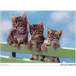 AHWP1-0039 - CHAT