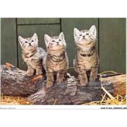 AHWP1-0041 - CHAT
