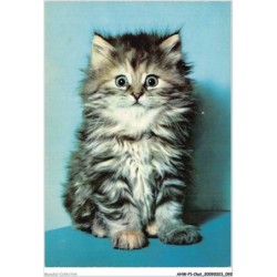 AHWP1-0047 - CHAT