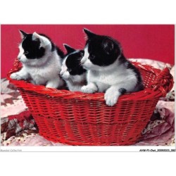 AHWP1-0042 - CHAT