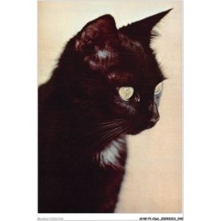 AHWP1-0021 - CHAT