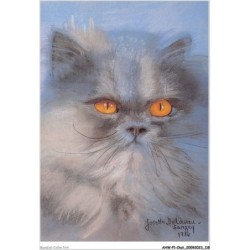 AHWP1-0060 - CHAT - delavau-sanzey - mystérieurx persan