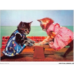 AHWP1-0085 - CHAT - deux chats habillés qui jouent