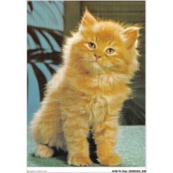 AHWP1-0025 - CHAT