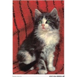 AHWP1-0045 - CHAT