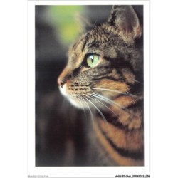 AHWP1-0029 - CHAT