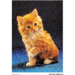 AHWP1-0056 - CHAT