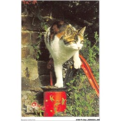 AHWP1-0050 - CHAT