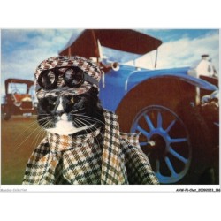 AHWP1-0094 - CHAT - road mog - published by the cat empire