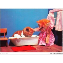 AHWP1-0083 - CHAT - chat habillé prenant un bain