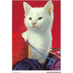 AHWP1-0069 - CHAT - marguerite