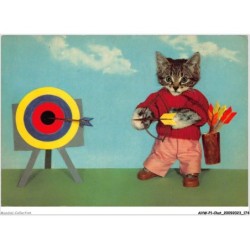 AHWP1-0088 - CHAT - chat habillé lançant une flèche