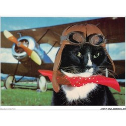 AHWP1-0093 - CHAT - flying tiger - published by the cat empire