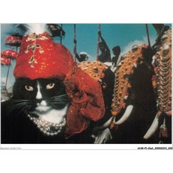 AHWP1-0101 - CHAT - maharajah of katpur - published by the cat empire - michael weigall