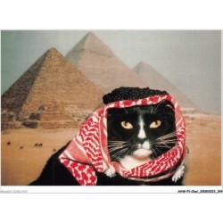 AHWP1-0098 - CHAT - cairo cat - published by the cat empire - michael weigall
